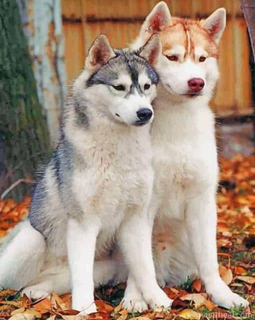 Huskies – 5D Diamond Painting Painting By Numbers Kits