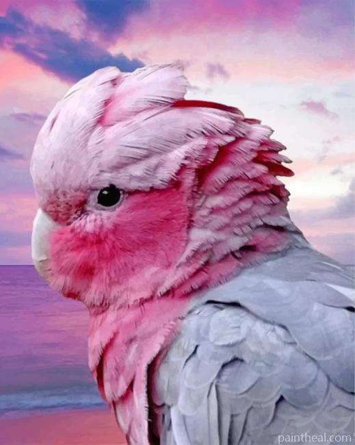 Aesthetic Pink Galah Painting By Numbers Kits