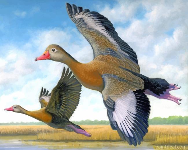 Ducks In Flight Painting By Numbers Kits