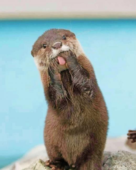 Funny Otter Painting By Numbers Kits
