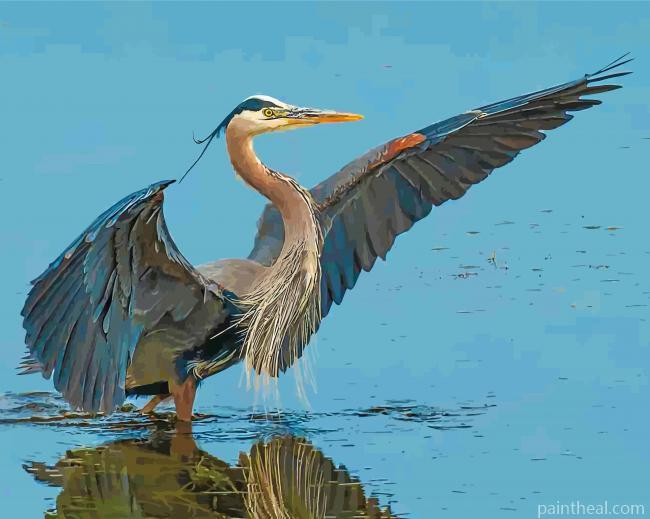 Great Blue Heron Bird Painting By Numbers Kits