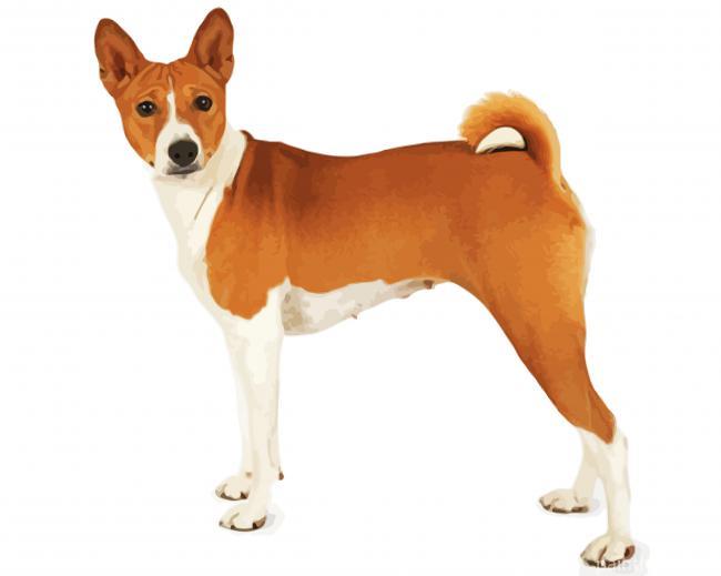 Basenji Dog Painting By Numbers Kits