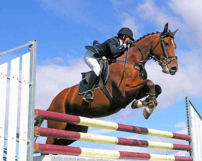 Horse Obstacles Skipping Sport Painting By Numbers Kits