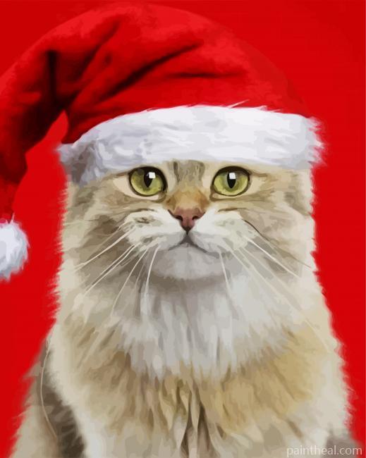 Cat In Red Christmas Hat Painting By Numbers Kits