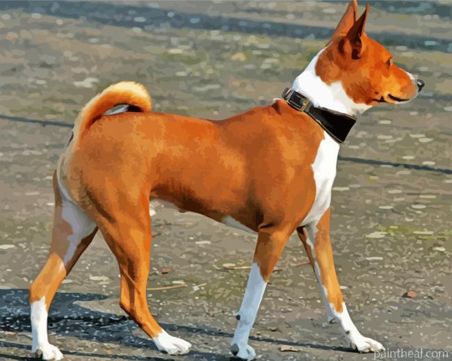 Basenji Puppy Painting By Numbers Kits