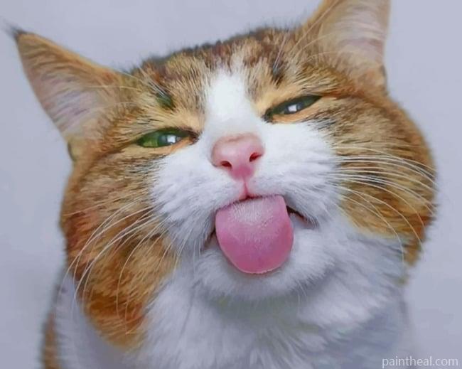 Cute Crazy Cat Painting By Numbers Kits
