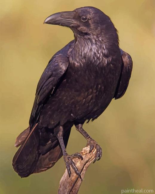 Black Ravens Painting By Numbers Kits