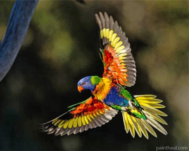 Flying Lorikeet -5D Diamond Painting Painting By Numbers Kits