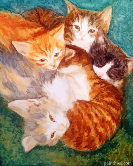 Kitten In a Puddle Painting By Numbers Kits