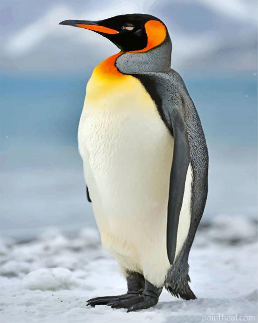 Aesthetic Penguin Bird Painting By Numbers Kits