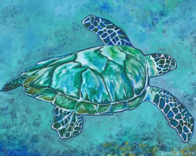 Blue Turtle Painting By Numbers Kits