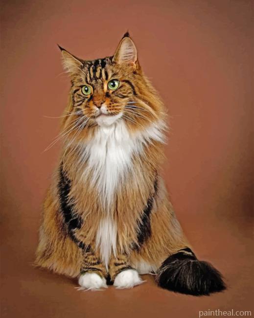 Maine Coon Painting By Numbers Kits