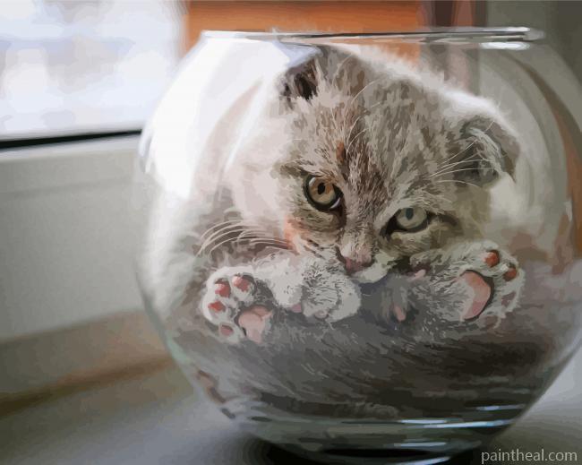 Cat In A Fish Bowl Painting By Numbers Kits
