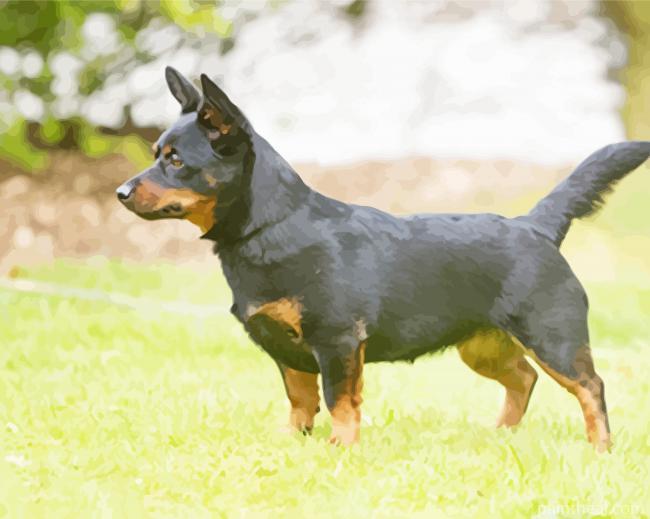 Aesthetic Lancashire Heeler Painting By Numbers Kits