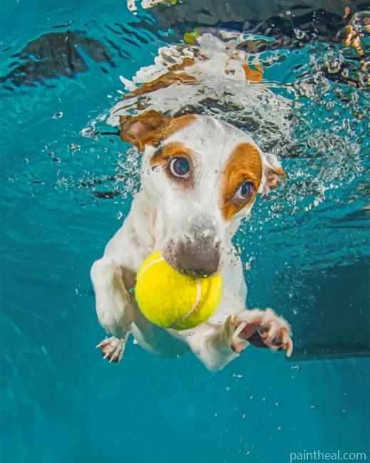 Jack Russell Underwater Painting By Numbers Kits