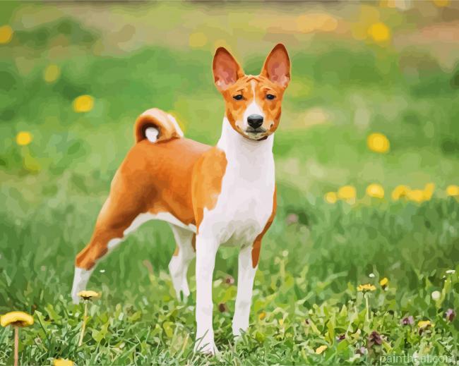 Basenji Animal Painting By Numbers Kits