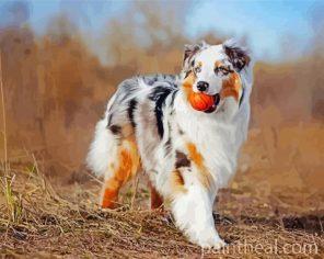 Australian Shepherd Puppy Painting By Numbers Kits
