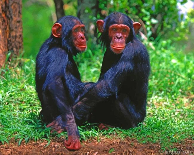 Black Monkey Siblings Painting By Numbers Kits
