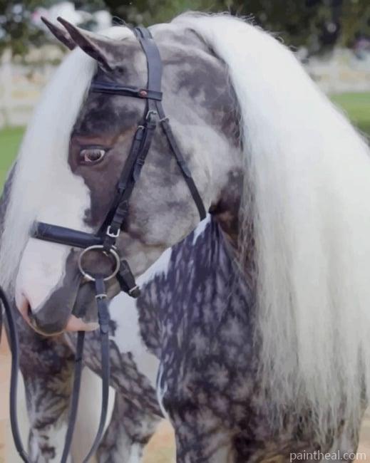 Aesthetic Horse Painting By Numbers Kits