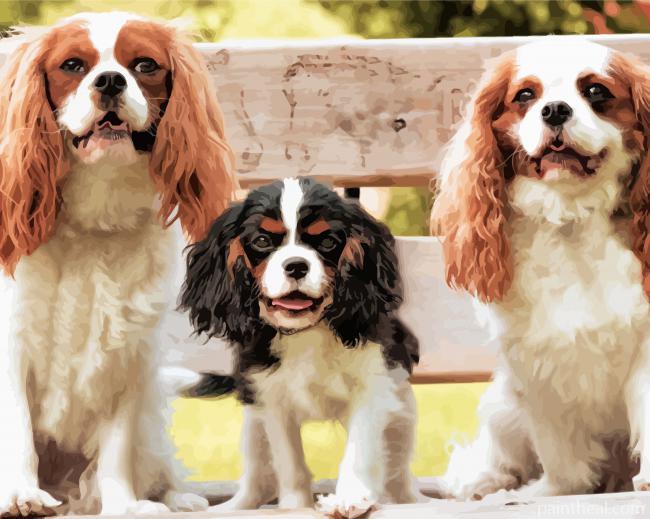 Trio King Charles Dogs Painting By Numbers Kits