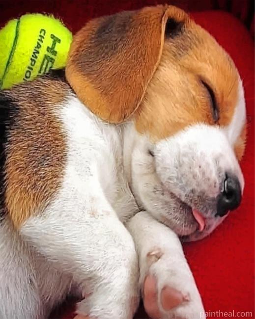 Beagle Puppy Sleeping Painting By Numbers Kits