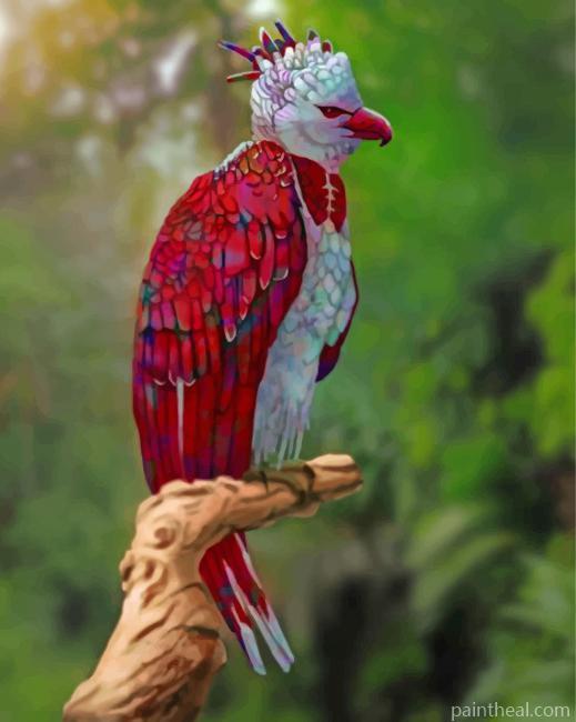 Harpy Eagle Painting By Numbers Kits