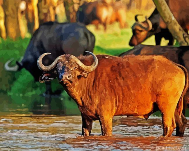 African Wild Cattle Painting By Numbers Kits