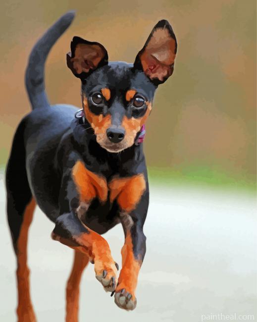 Miniature Pinscher Running Painting By Numbers Kits