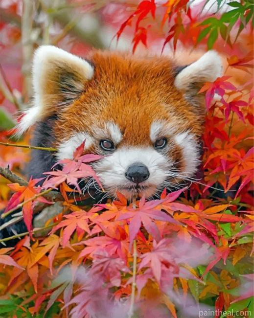 Red Panda And Leaves Painting By Numbers Kits