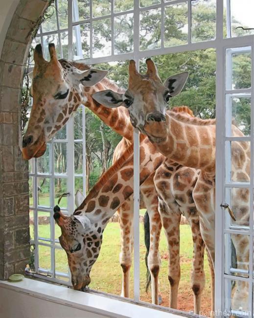 Cute Curious Giraffes Painting By Numbers Kits