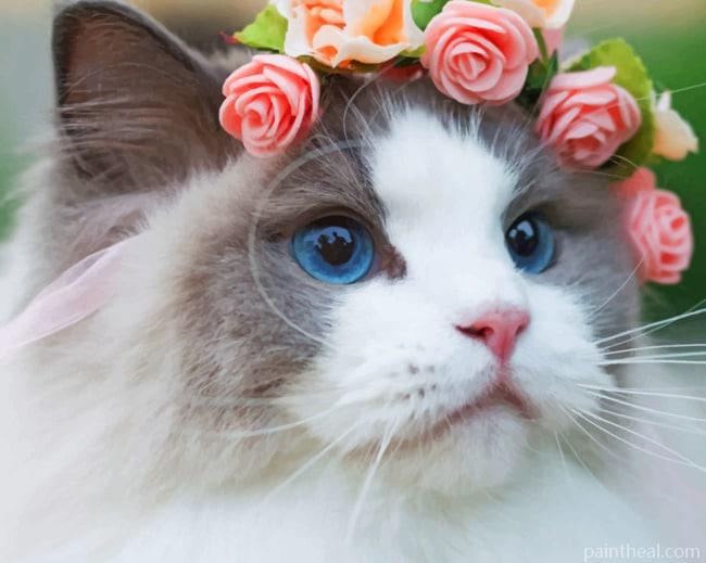 White Cat With Flowers On Head Painting By Numbers Kits