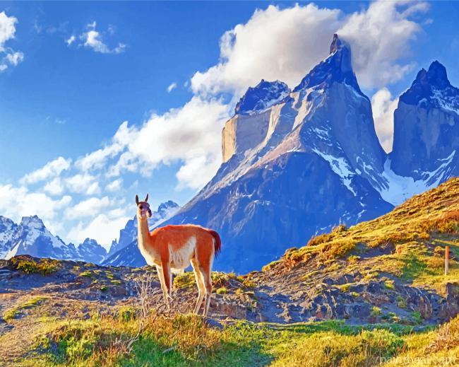 Chile South America Painting By Numbers Kits