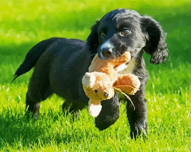 Cute Black Cocker Spaniel Puppy Painting By Numbers Kits