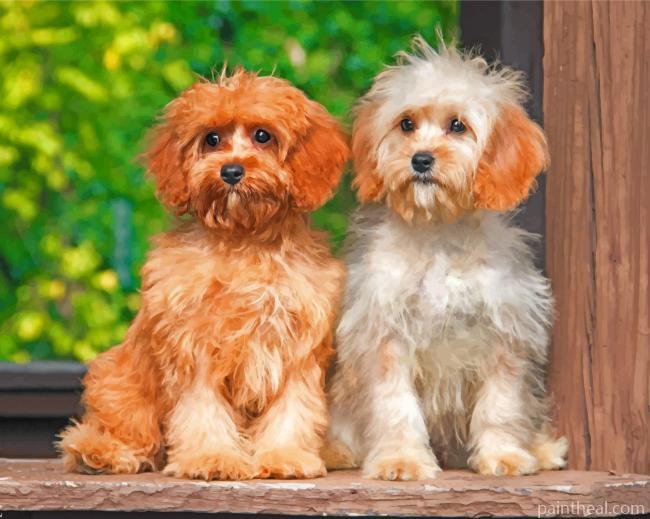 Cute Cavapoo Dogs Painting By Numbers Kits