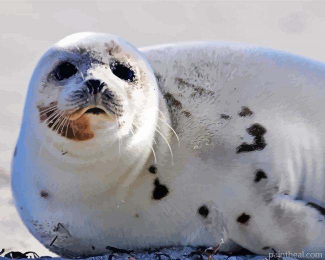 Aesthetic Harp Seal Painting By Numbers Kits