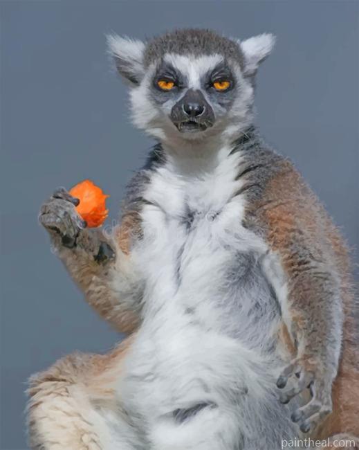 Mad Lemur Painting By Numbers Kits