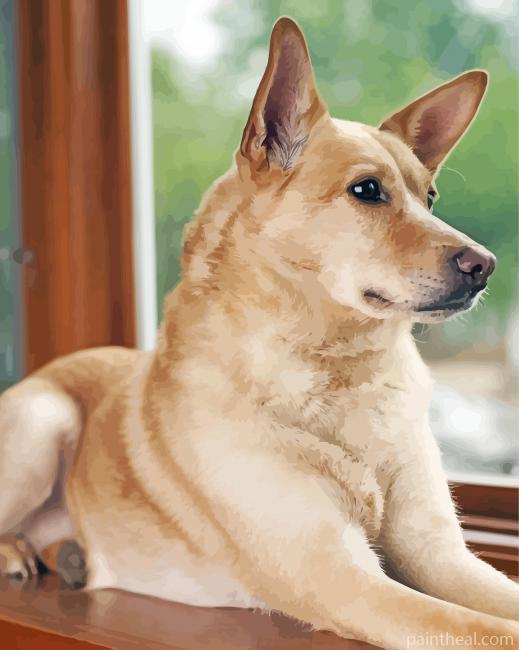 Aesthetic Carolina Dog Painting By Numbers Kits
