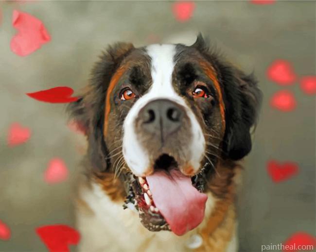 Cute Saint Bernard Painting By Numbers Kits