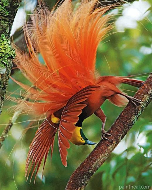 Aesthetic Bird Of Paradise Painting By Numbers Kits