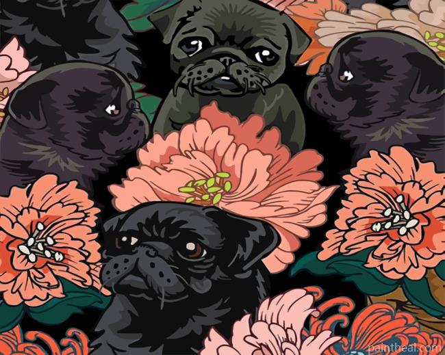 Black Pugs Painting By Numbers Kits