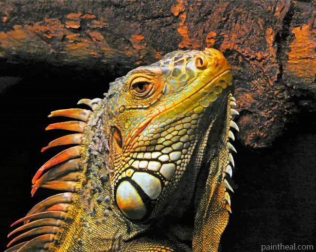 Aesthetic Iguana Painting By Numbers Kits