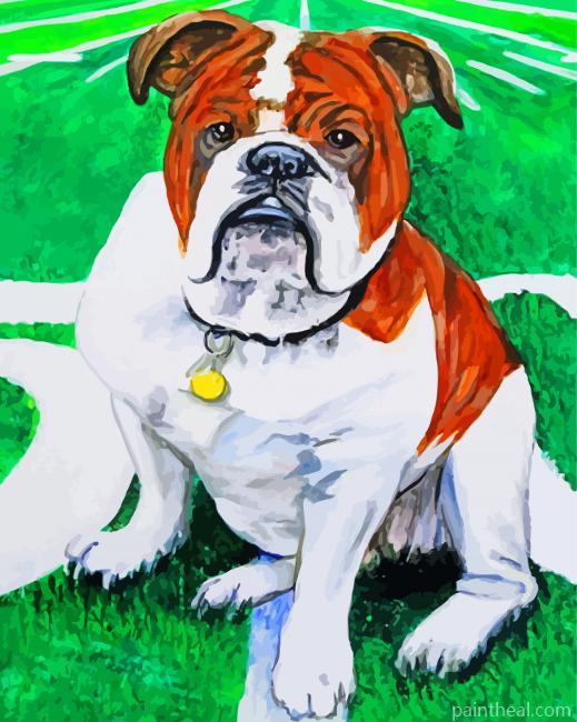 MSU Bulldog Painting By Numbers Kits