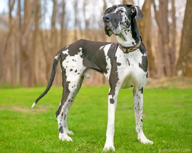 Great Dane Dog Pet Painting By Numbers Kits