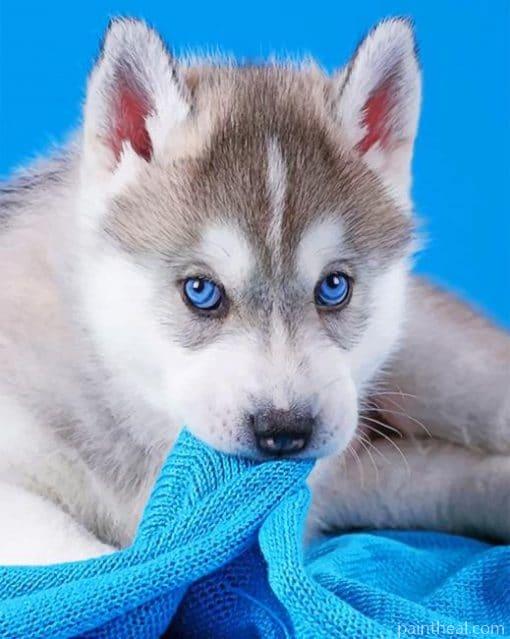 Baby Husky Blue Eyes – 5D Diamond Painting Painting By Numbers Kits