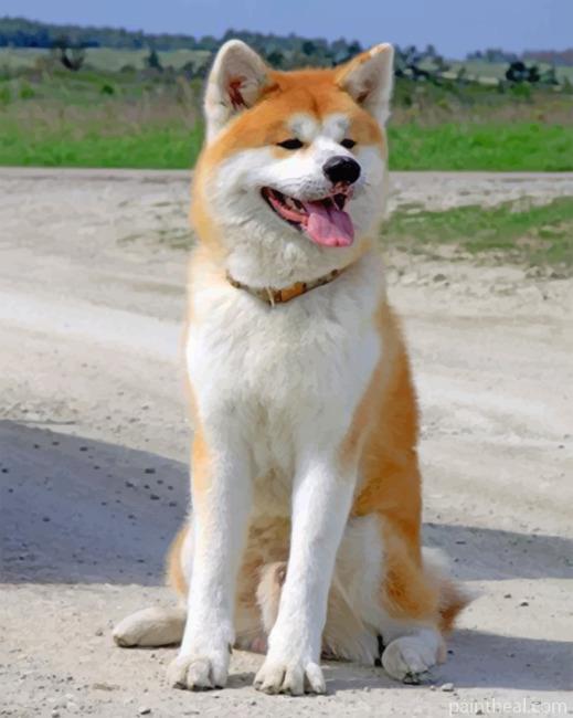 Happy Akita Painting By Numbers Kits
