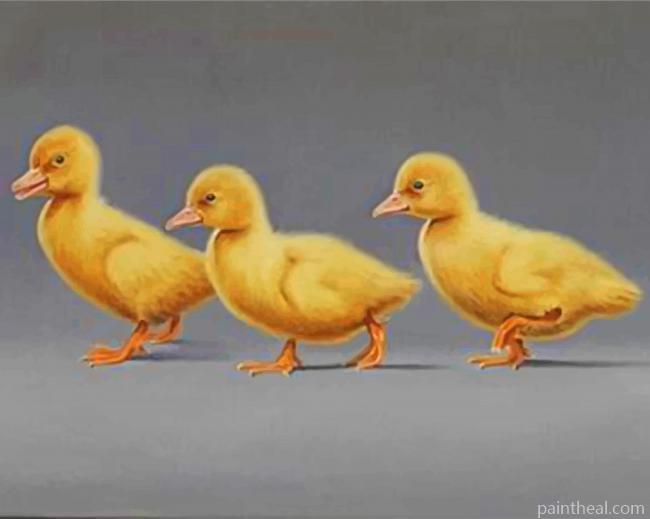 Ducks In A Row Painting By Numbers Kits