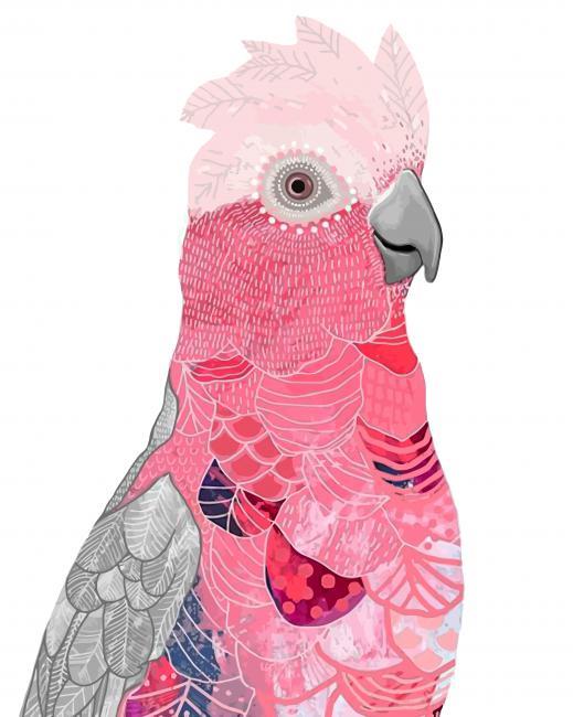 Pink Galah Bird Painting By Numbers Kits