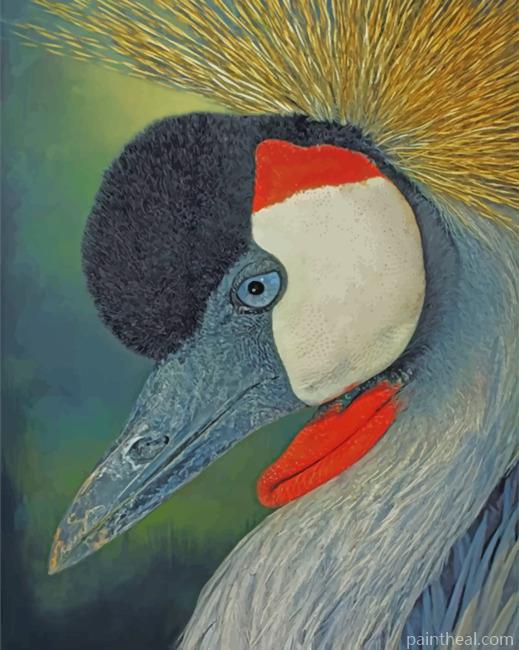 Aesthetic Bird Painting By Numbers Kits
