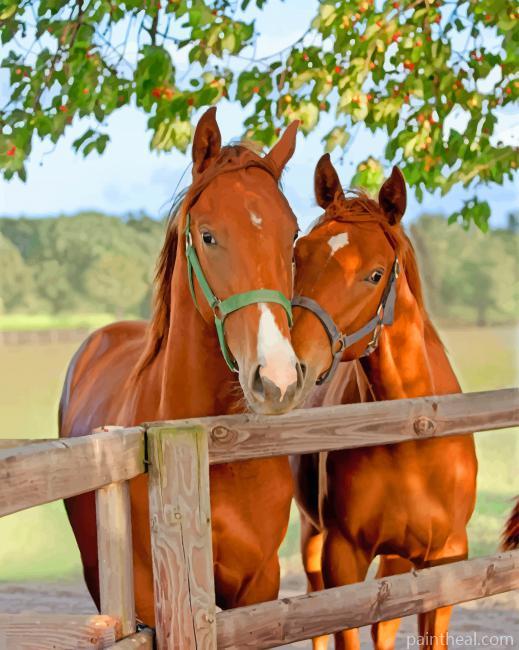 Cute Brown Horses Painting By Numbers Kits
