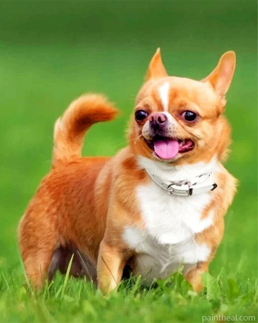 Chihuahua Puppy Painting By Numbers Kits